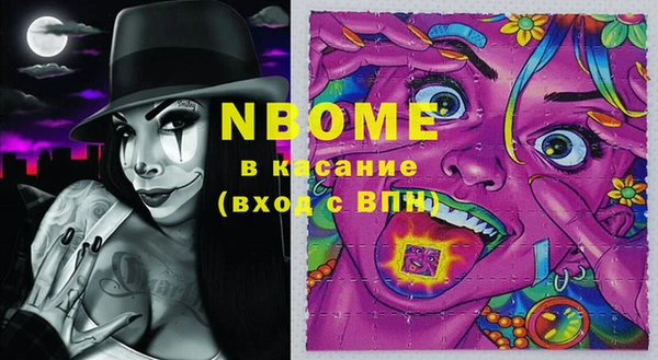 ECSTASY Богородицк