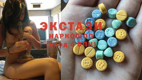 ECSTASY Богородицк