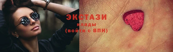 ECSTASY Богородицк