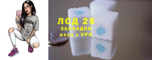 ECSTASY Богородицк