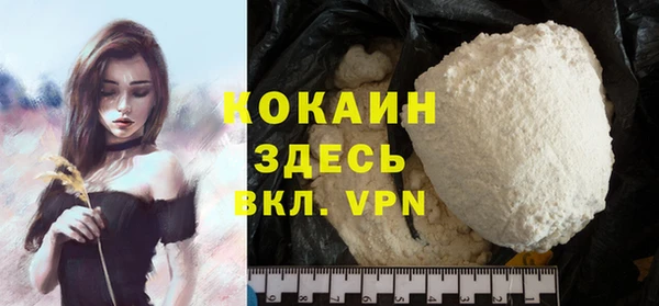 ECSTASY Богородицк